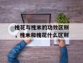 槐花与槐米的功效区别，槐米和槐花什么区别