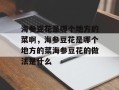 海参豆花是哪个地方的菜啊，海参豆花是哪个地方的菜海参豆花的做法是什么