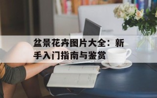 盆景花卉图片大全：新手入门指南与鉴赏