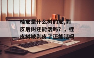 桂皮是什么树的皮,剥皮后树还能活吗？，桂皮树被剥皮了还能活吗