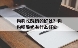 狗狗吃酸奶的好处？狗狗喝酸奶有什么好处
