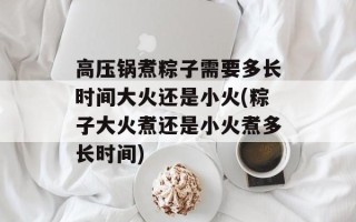 高压锅煮粽子需要多长时间大火还是小火(粽子大火煮还是小火煮多长时间)