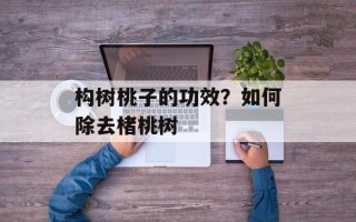 构树桃子的功效？如何除去楮桃树