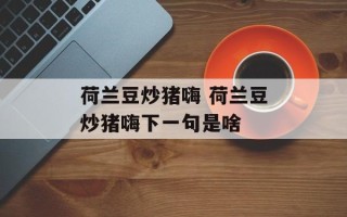 荷兰豆炒猪嗨 荷兰豆炒猪嗨下一句是啥