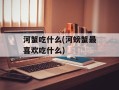 河蟹吃什么(河螃蟹最喜欢吃什么)