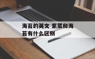 海苔的英文 紫菜和海苔有什么区别
