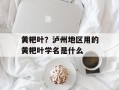 黄粑叶？泸州地区用的黄粑叶学名是什么