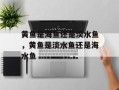 黄鱼是海鱼还是淡水鱼，黄鱼是淡水鱼还是海水鱼