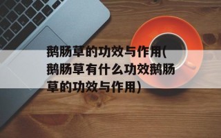 鹅肠草的功效与作用(鹅肠草有什么功效鹅肠草的功效与作用)