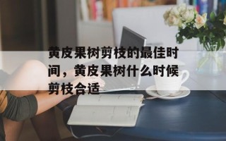 黄皮果树剪枝的最佳时间，黄皮果树什么时候剪枝合适