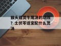 猴头菇煲牛尾汤的功效？土伏苓适宜配什么煲汤