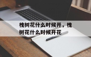 槐树花什么时候开，槐树花什么时候开花
