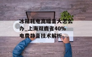 冰箱耗电高噪音大怎么办_上海双鹿省40%电费静音技术解析