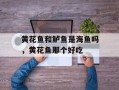 黄花鱼和鲈鱼是海鱼吗，黄花鱼那个好吃