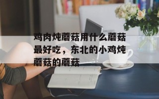 鸡肉炖蘑菇用什么蘑菇最好吃，东北的小鸡炖蘑菇的蘑菇