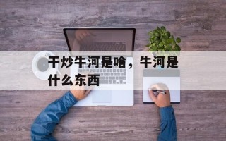 干炒牛河是啥，牛河是什么东西