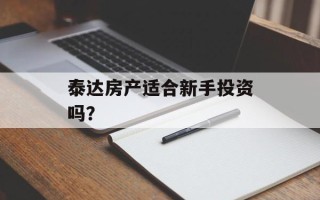 泰达房产适合新手投资吗？