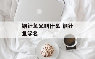 钢针鱼又叫什么 钢针鱼学名