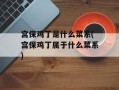 宫保鸡丁是什么菜系(宫保鸡丁属于什么菜系)