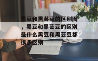 黑豆和黑芸豆的区别图，黑豆和黑芸豆的区别是什么黑豆和黑芸豆都很多区别
