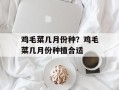 鸡毛菜几月份种？鸡毛菜几月份种植合适