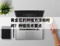 黄金瓜的种植方法和时间？种植技术要点