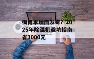 梅雨季墙面发霉？2025年除湿机避坑指南省3000元