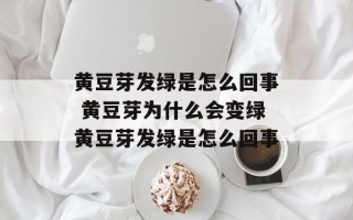 黄豆芽发绿是怎么回事 黄豆芽为什么会变绿黄豆芽发绿是怎么回事