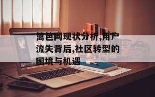 篱笆网现状分析,用户流失背后,社区转型的困境与机遇