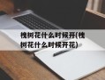 槐树花什么时候开(槐树花什么时候开花)