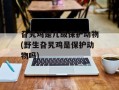 旮旯鸡是几级保护动物(野生旮旯鸡是保护动物吗)
