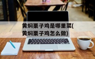 黄焖栗子鸡是哪里菜(黄焖栗子鸡怎么做)