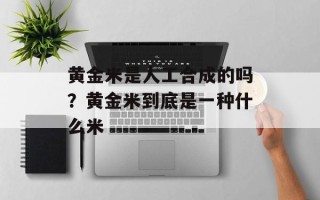 黄金米是人工合成的吗？黄金米到底是一种什么米