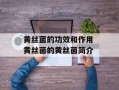 黄丝菌的功效和作用 黄丝菌的黄丝菌简介