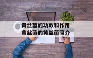 黄丝菌的功效和作用 黄丝菌的黄丝菌简介