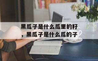 黑瓜子是什么瓜里的籽，黑瓜子是什么瓜的子