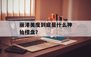 丽港美度到底是什么神仙楼盘？