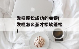 发糕蓬松成功的关键(发糕怎么蒸才松软蓬松)
