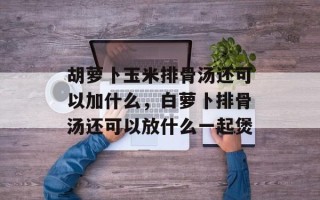 胡萝卜玉米排骨汤还可以加什么，白萝卜排骨汤还可以放什么一起煲