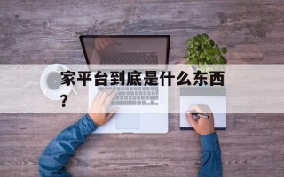 家平台到底是什么东西？