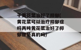 干黄花菜治好了抑郁(黄花菜可以治疗抑郁症吗两吨黄花菜治好了抑郁症是真的吗)