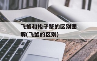 飞蟹和梭子蟹的区别图解(飞蟹的区别)