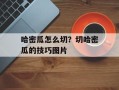 哈密瓜怎么切？切哈密瓜的技巧图片