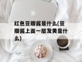 红色豆瓣酱是什么(豆瓣酱上面一层发黄是什么)