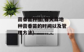 茴香苗种植(春天露地种茴香苗的时间以及管理 *** )