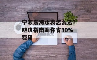 宁波东海水表怎么选？避坑指南助你省30%费用