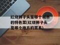 红烧狮子头是哪个城市的特色菜(红烧狮子头是哪个地方的菜系)