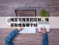 槐花与槐角的区别，槐花和槐角哪个好