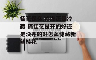 桂花保存 冷冻还是冷藏 摘桂花是开的好还是没开的好怎么储藏新鲜桂花