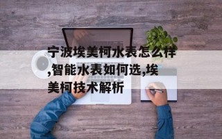 宁波埃美柯水表怎么样,智能水表如何选,埃美柯技术解析